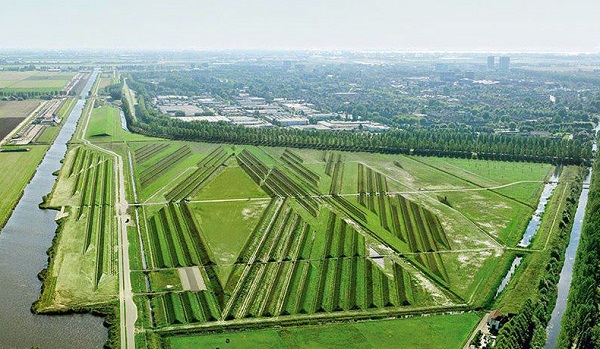 Quindi al tuo vicino piace suonare il suo stereo davvero forte