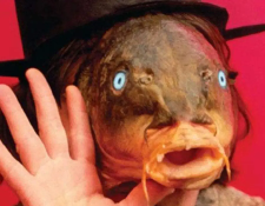 Riedizione della replica di Trout Mask di Captain Beefheart su vinile da Third Man Records