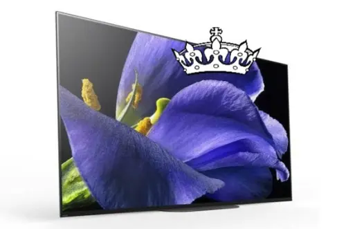Sony A9G OLED incoronato 'King of TV' al 2019 Shootout