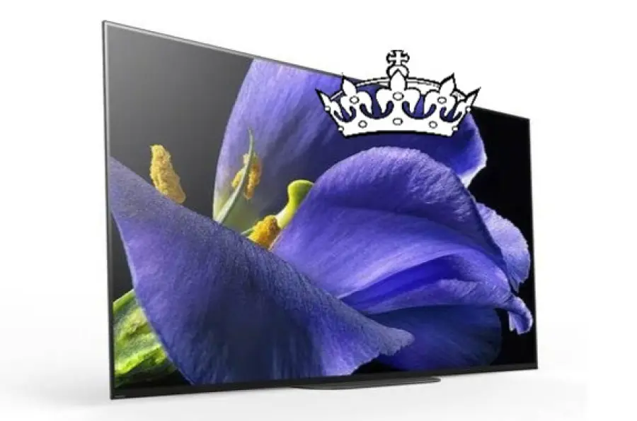 Sony A9G OLED incoronato 'King of TV' al 2019 Shootout