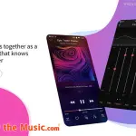 Il dodicesimo anniversario di FiiO festeggia con l'app di musica aggiornata