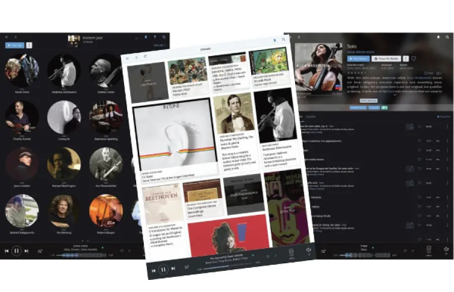 Hands On: Roon Music Playback, Sistema di gestione