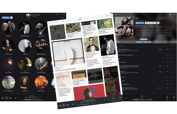 Hands On: Roon Music Playback, Sistema di gestione