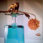 Beirut's New Gallipoli Album Sails Seas of Future Past On 4AD Records Vinyl, Tidal, Download