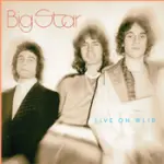 Big Star Live On WLIR: Legendary Radio Broadcast è il debutto ufficiale di Vinyl