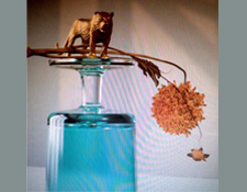 Beirut's New Gallipoli Album Sails Seas of Future Past On 4AD Records Vinyl, Tidal, Download