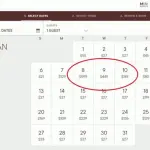 Ciò che la morte del CES può insegnare all'entusiasmo dell'AV