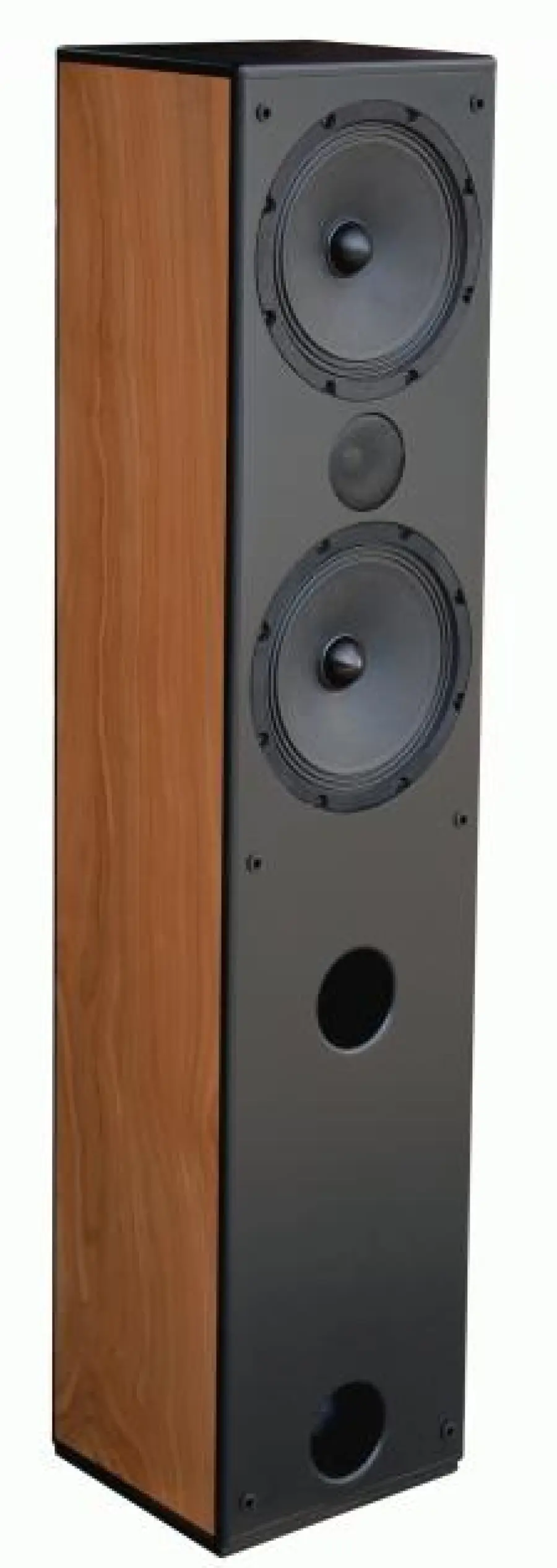 Altoparlante NSMT Modello 50 / Giamaica recensito